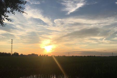 朝夕相见的意思