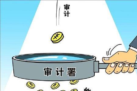 公司对员工的审计是什么意思