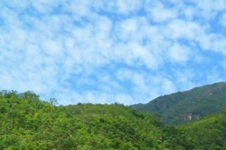 银瓶嘴属于莲花山脉吗