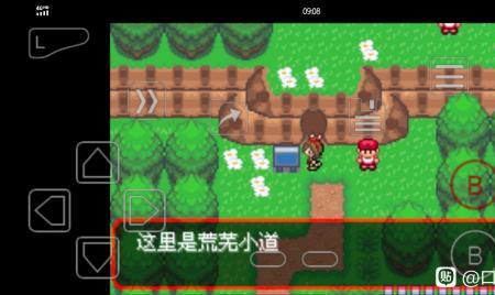 pokemmo祝庆市道馆