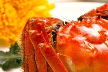 今年大闸蟹几月份上市