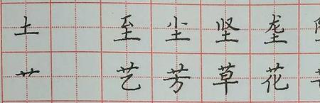 草字头加犬加横撇竖念什么