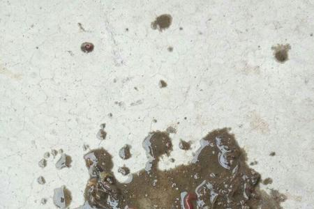 铁锈虫有毒吗
