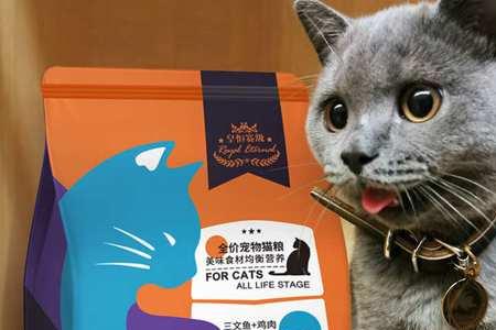 蓝猫除了猫粮应该吃点啥