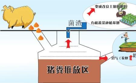 氨气就是沼气吗