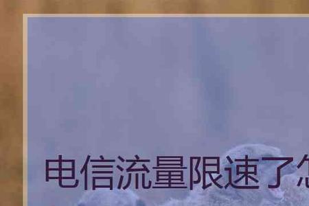 为什么限速后领的流量还是限速