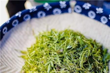 为什么叫莓茶