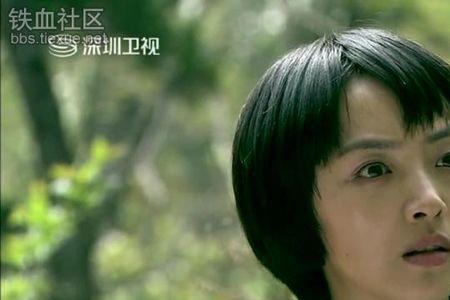 火凤凰叶寸心妈妈代号