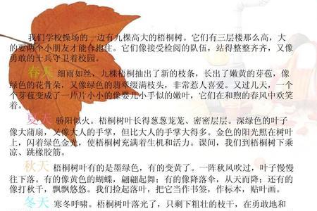 梧桐树的比喻句