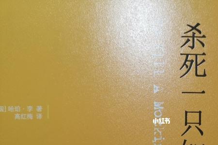 一只知更鸟原著