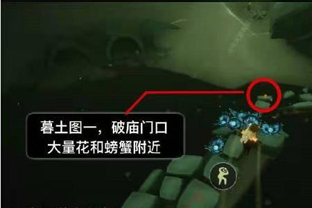 全先祖号什么意思