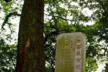 龙海白云岩门票