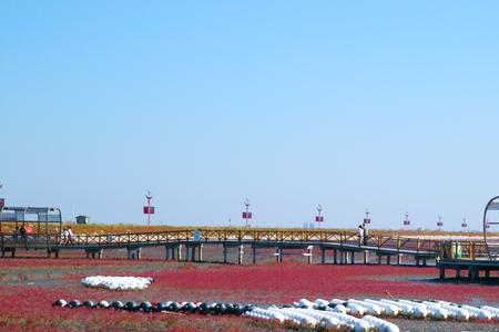 盘锦红海滩几月份去最好