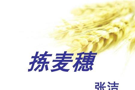怎么捡麦穗