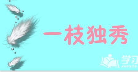 一枝半叶带同义词的成语