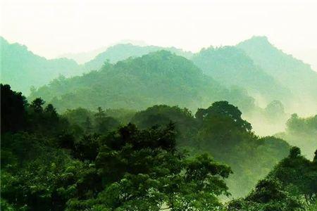 青城山前山8月份热吗