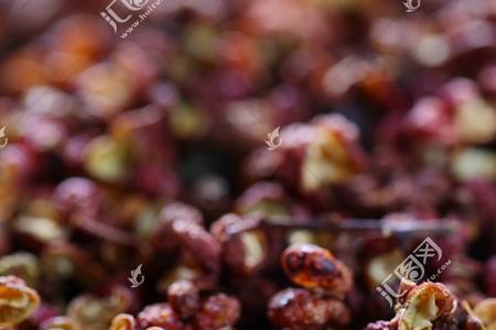 麻椒川椒花椒一样吗