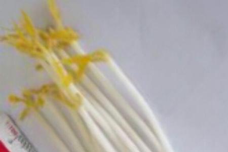 生吃绿豆芽有毒吗