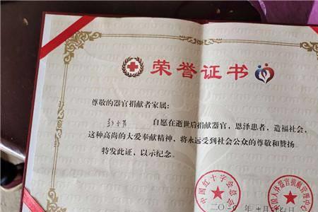 器官捐献证书可以加学分吗