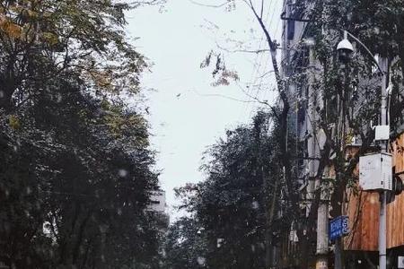 成都青莲上街名字的由来