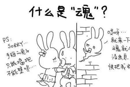 猫有三魂七魄吗