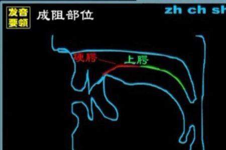 平舌卷舌分不清