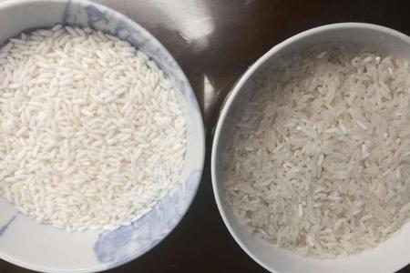 江米和精米的区别