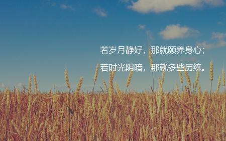 颐养身心什么意思