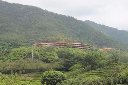 广东梅州叶府来历
