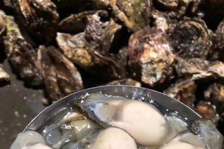 生蚝和豆蚝哪个好吃