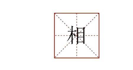 樟的组词有哪些