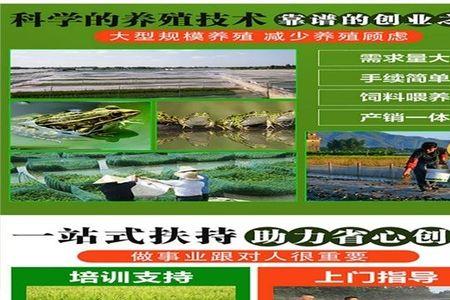 青蛙养殖要办什么证吗