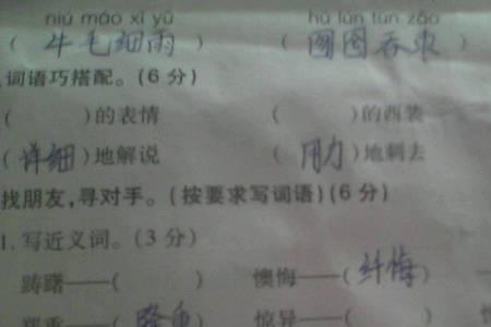 迟反义词是什么