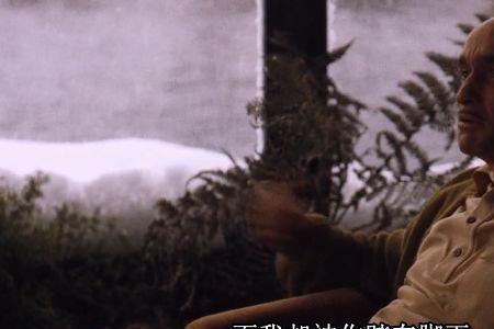 麦克是什么意思