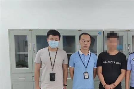 网上追逃人员哪年开始联网
