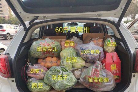 冬天鸡放在后备箱能待多久
