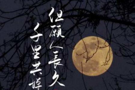 千里婵娟什么意思