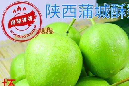 蒲城早酥梨的正宗做法