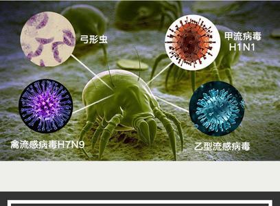 臭虫和螨虫有什么区别
