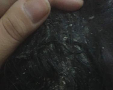 屑东西是什么意思