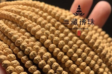 佛手小金刚怎么看是不是糠籽