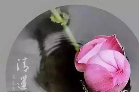 洒脱坦荡什么意思