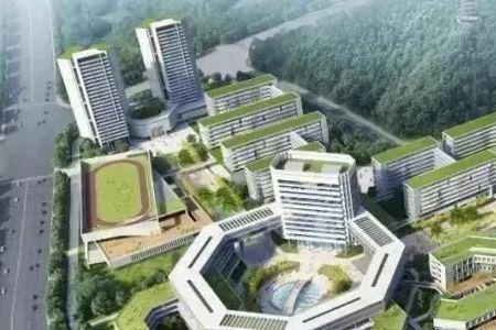 知识城第一小学怎么样