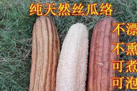 丝瓜很粗里面的瓤还能要吗