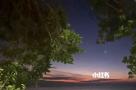 凌晨四点的海什么意思