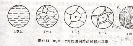 共晶白口铸铁组织组成成分含量