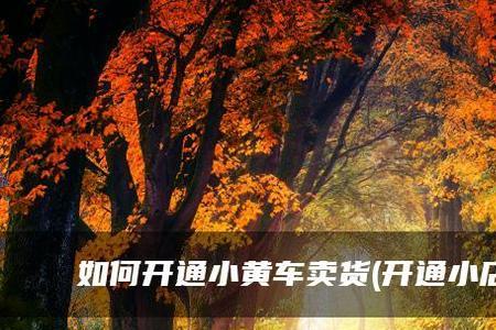 一个小店能挂几个小黄车