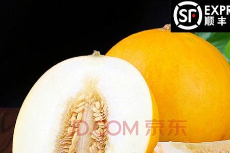 黄河蜜瓜能保存多久