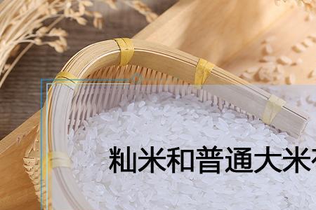 籼米是几月份成熟