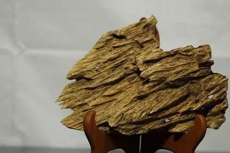 沉香和丁香哪个是古代口香糖
